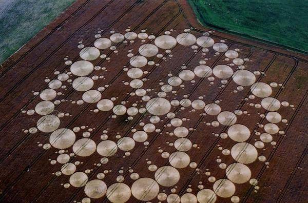 
        麦田怪圈现象巧为天工，外星生物的作品终成谜！