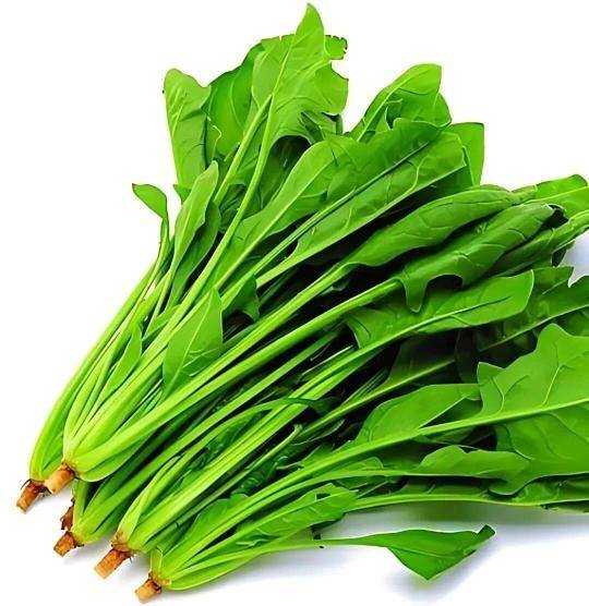 吃菠菜降血压？《Cell》揭秘：真正干活的不是菠菜，是你肚子里的“代工厂”