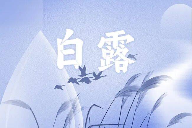 白露看雁：大雁迁徙的能量从哪来