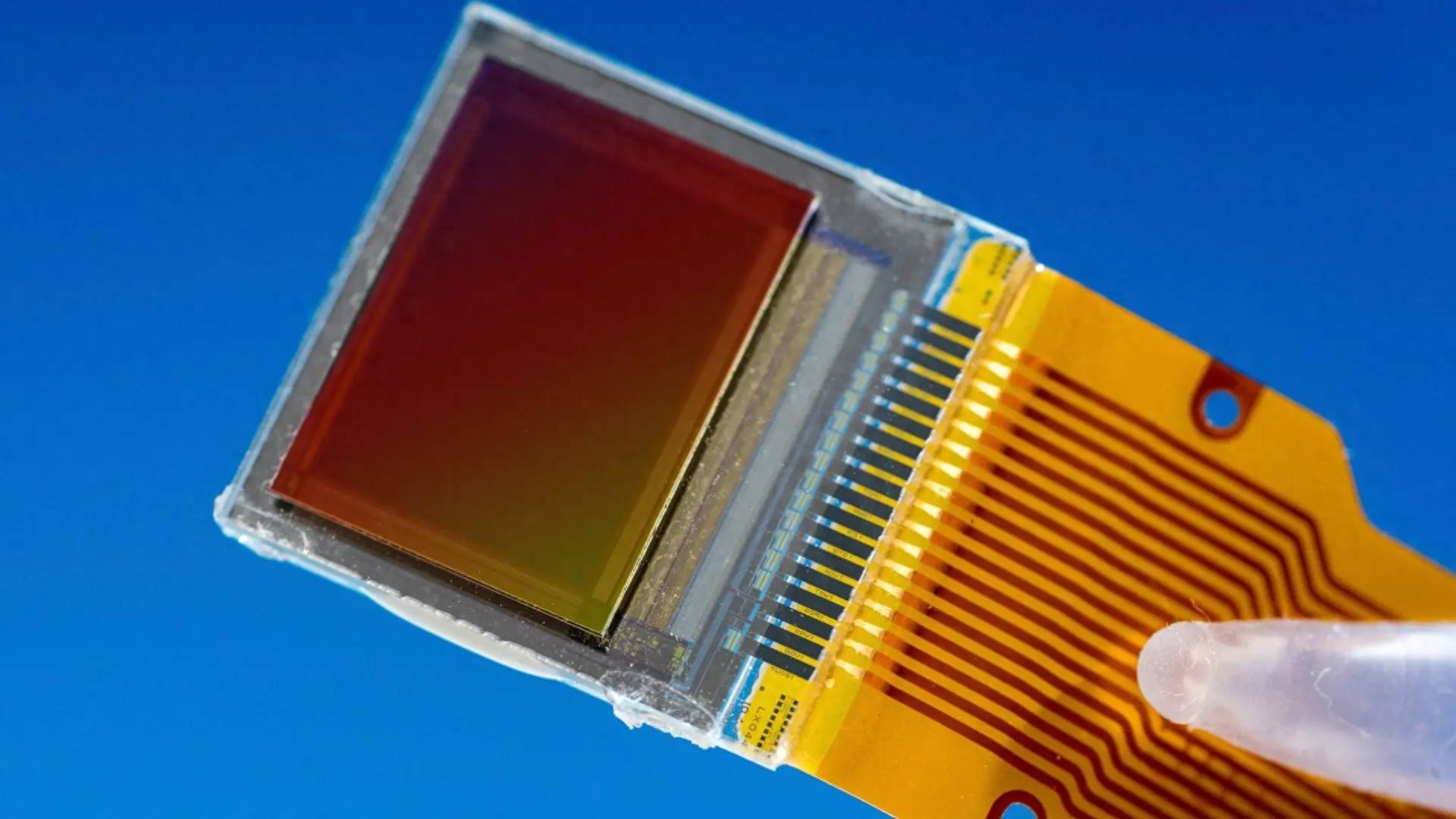 
        中国科学家为量子互联网研制100通道单光子探测器