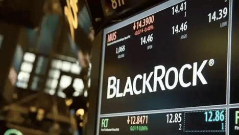 肖战回复沙宝亮