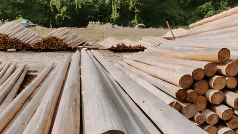 广汽丰田科技日