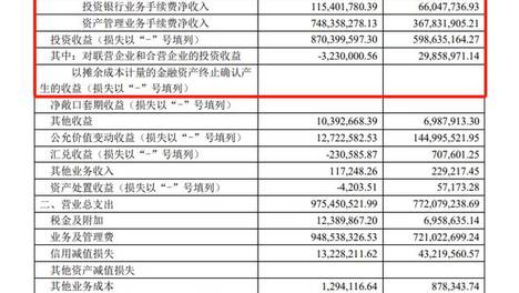 202管家婆一肖一码,高效能落实解答策略