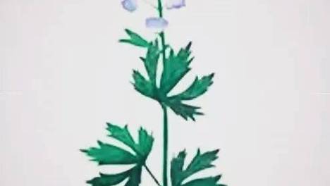 《金瓶梅词话》膳食与中医药释读