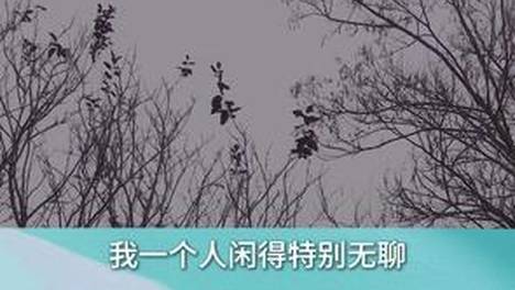 内容配图
