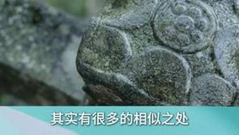 内容配图