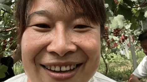 放弃高薪，化身“人间嘴替”！陕西农妇的「种地文学」爆火，百万网友：治好我的精神内耗