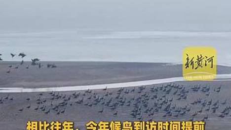 内容配图
