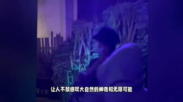 浙江并蒂莲和同心莲同框绽放