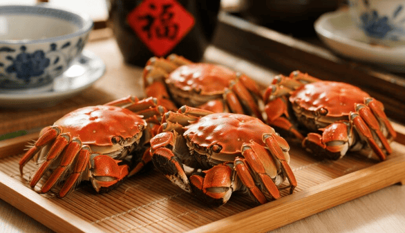 刘浩存演现偶 大炮轰蚊子