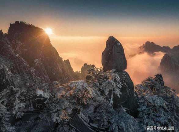 白鹿水灵灵地翻了