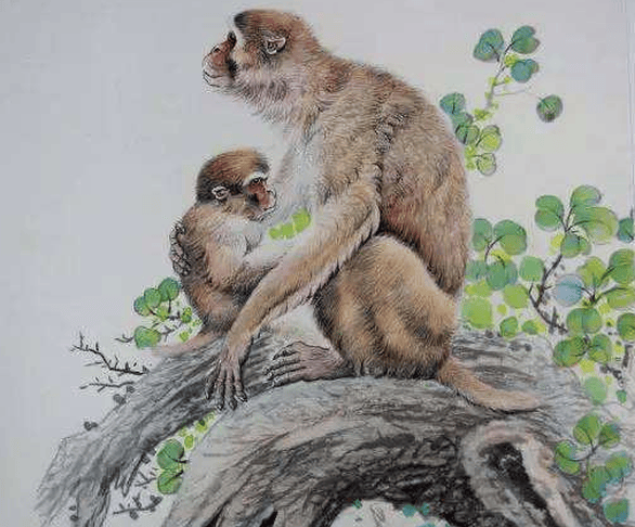 染崎白石魏莱分手日本7月5日大地震预言会成真吗