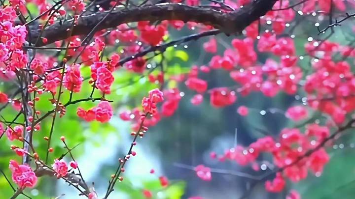 李梦状态和宫指导一无所知,你怎么看?