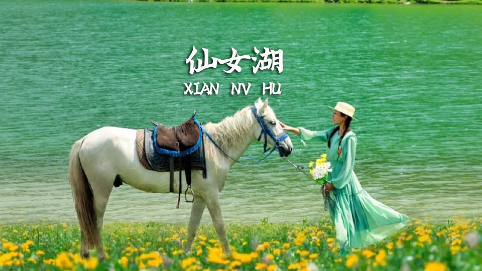 新疆海外国际旅行社有限责任公司，专属旅行服务(图4)