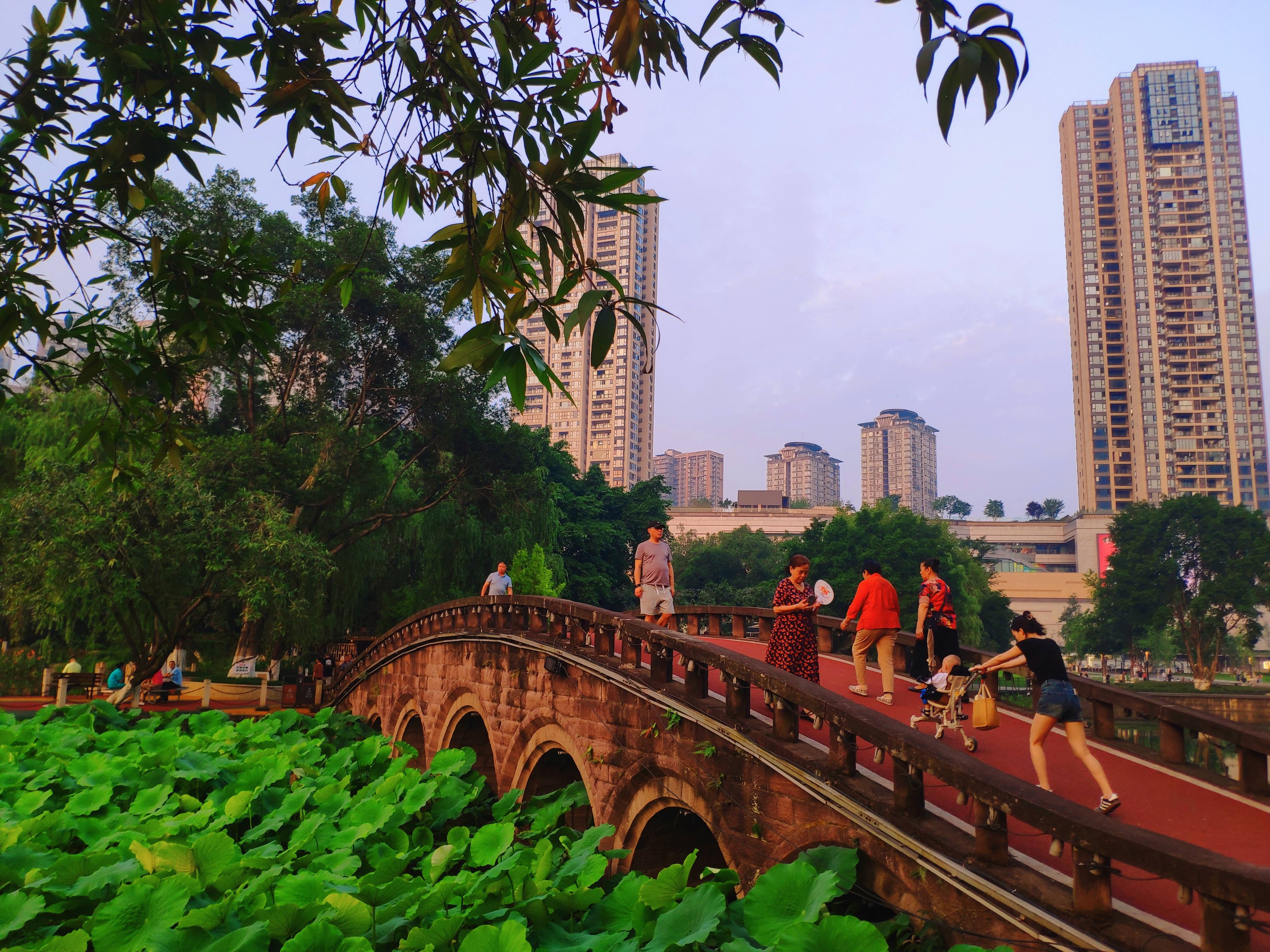 重庆大渡口公园如诗如画：绿树成荫绕步道 植物花卉映湖面