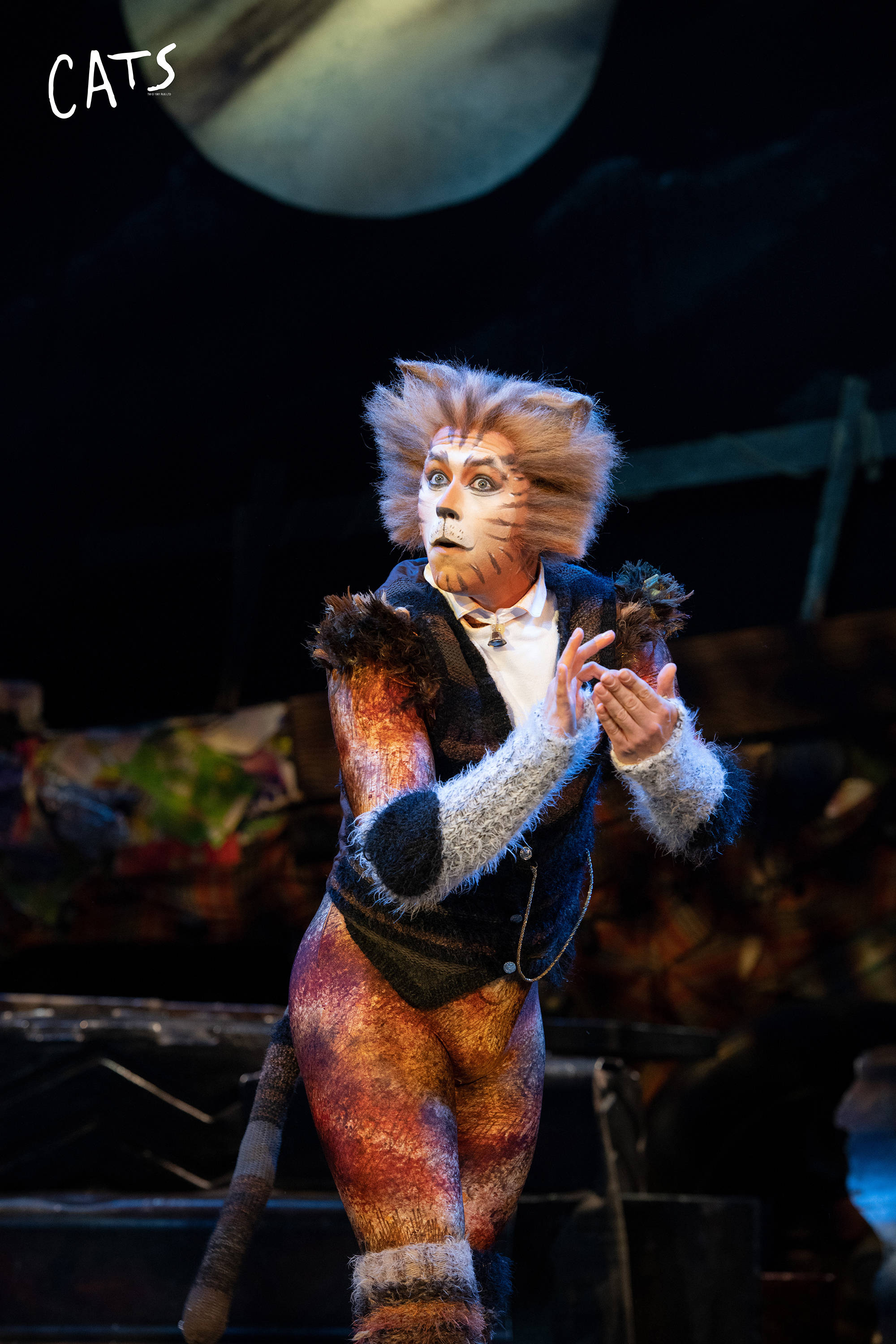 不容错过的全球四大音乐剧之一《猫》来啦！