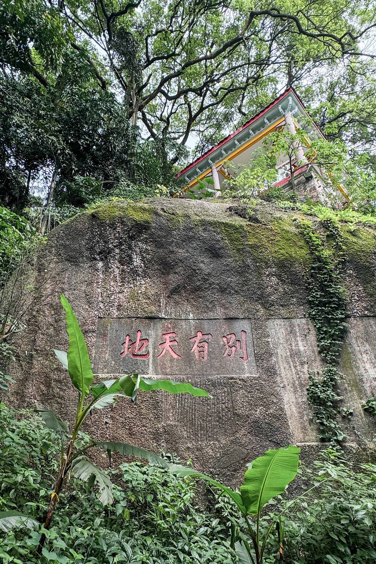 🌸黄山日报【新澳门内部资料精准大全】_江城春韵盛繁花 | 城市摄影队4月获奖作品出炉