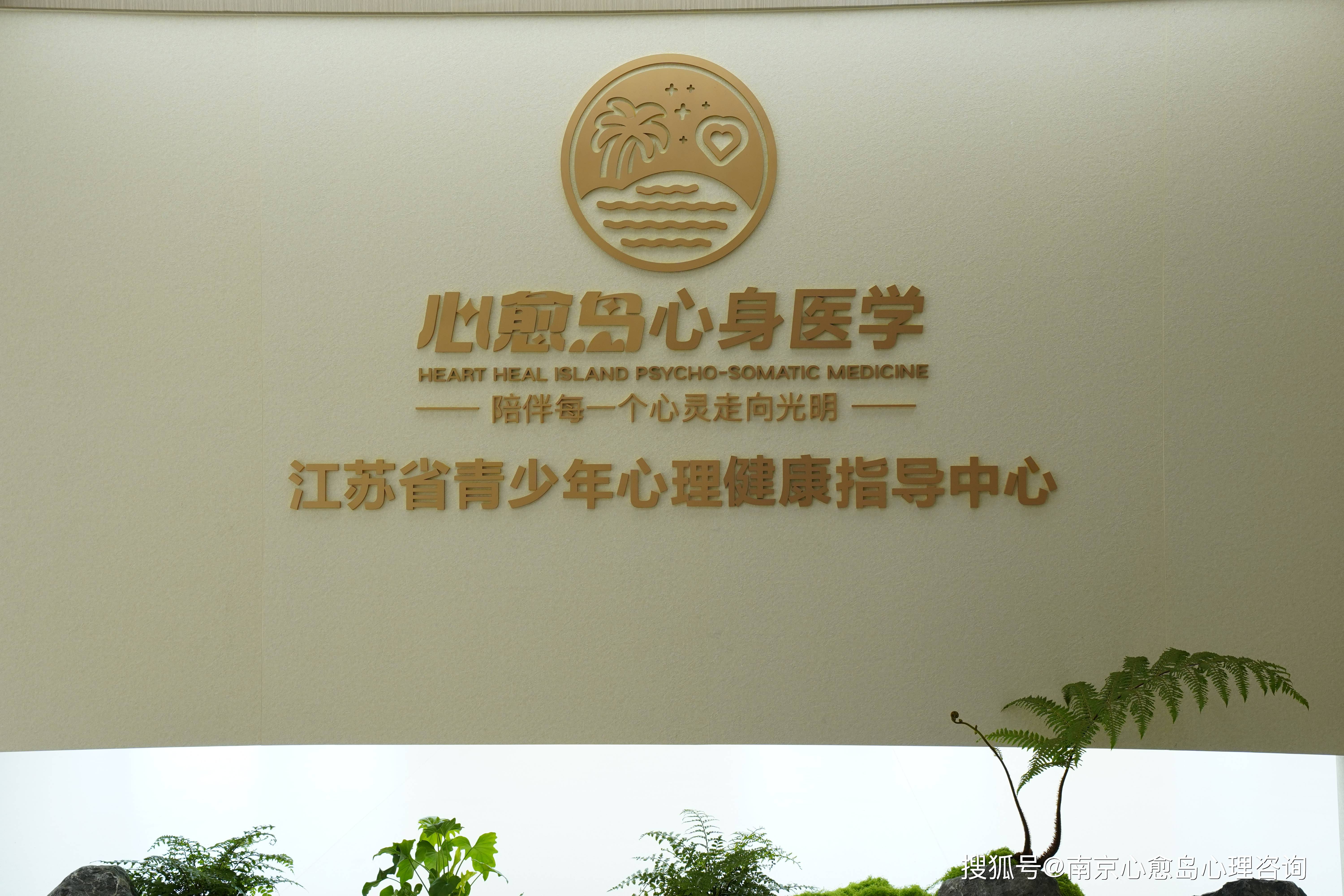 南京心愈岛心身医学青少年心理专家-付金宏教授简介