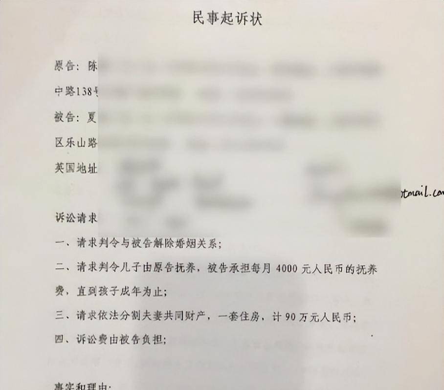 陈林的离婚起诉状说完还拿出一份陈林起诉夏岩离婚的诉状，上面显示很清