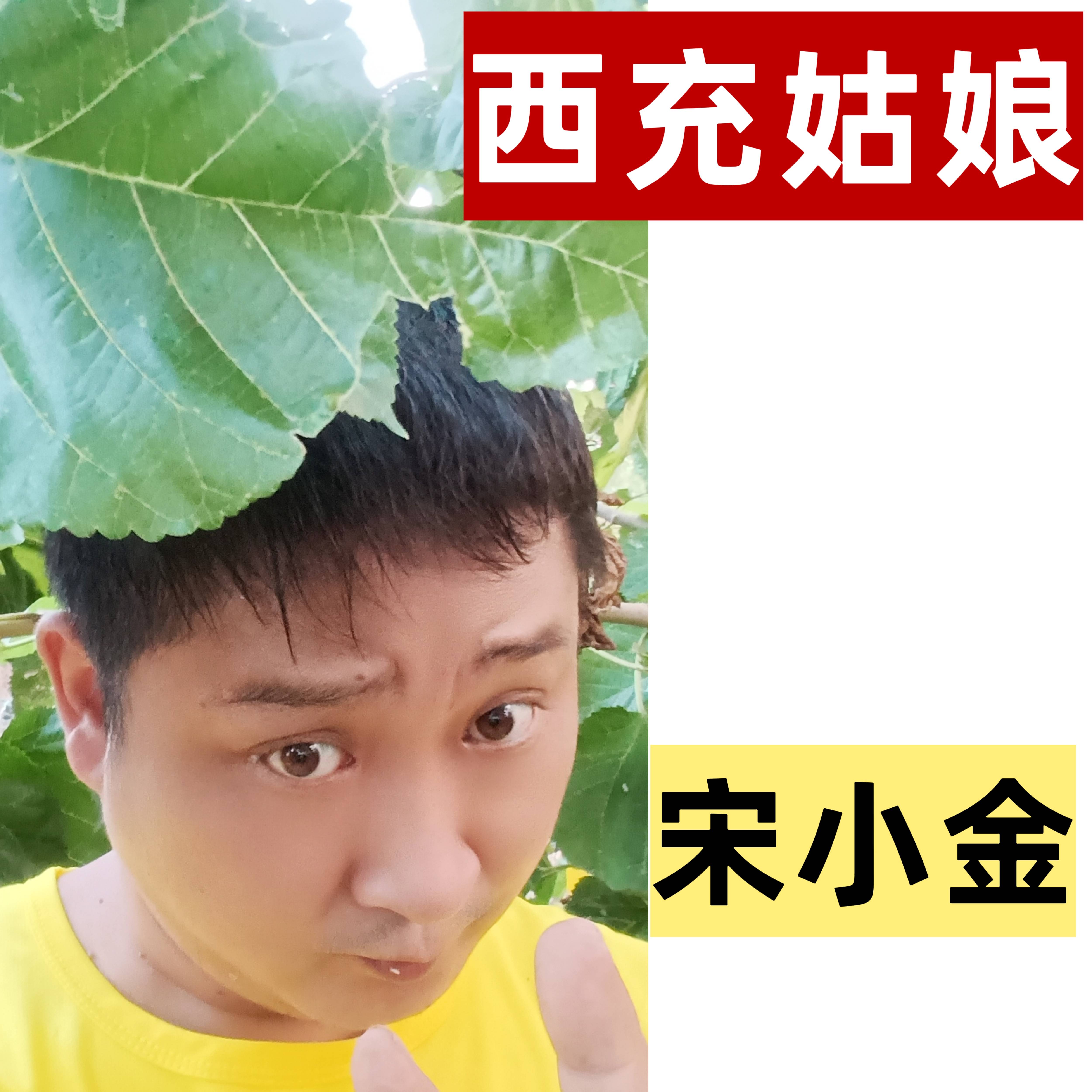 原创            周星驰最新电影少林女足与宋小金西充姑娘的关系