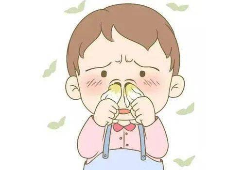 鼻郎中去鼻炎（专家推荐的有效治疗方法）