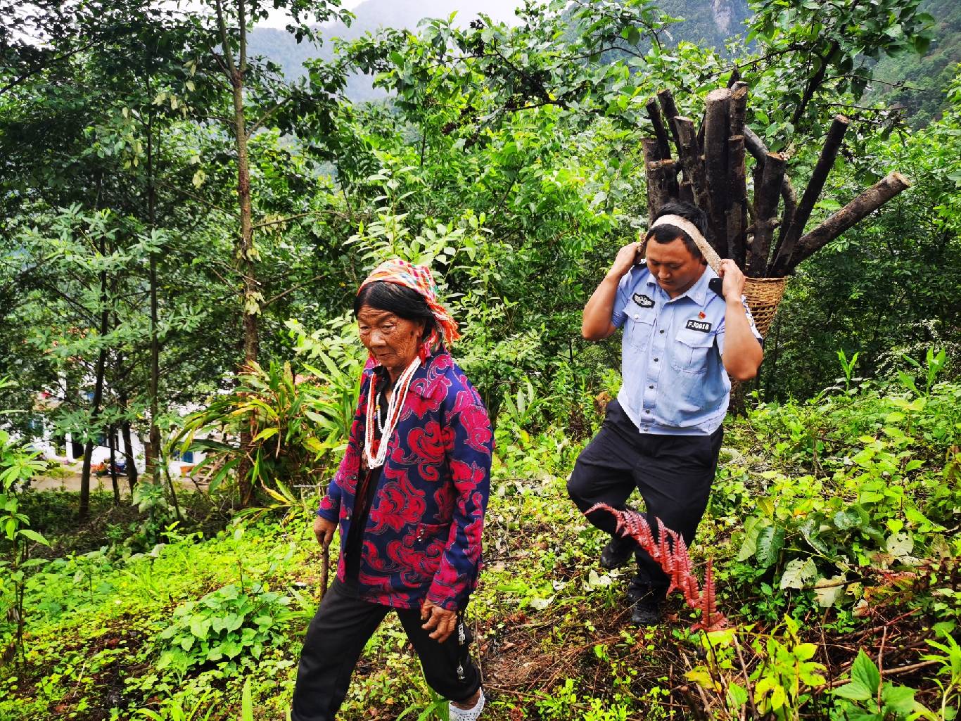 传承雷锋精神 践行初心使命——鹿马登所用心用情点亮为民星光