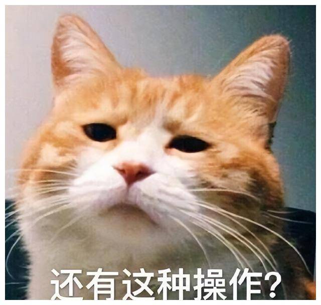 “印度第一高雕像”靠10万民众捐旧农具和金属打造结果成这样1xBETapp(图3)