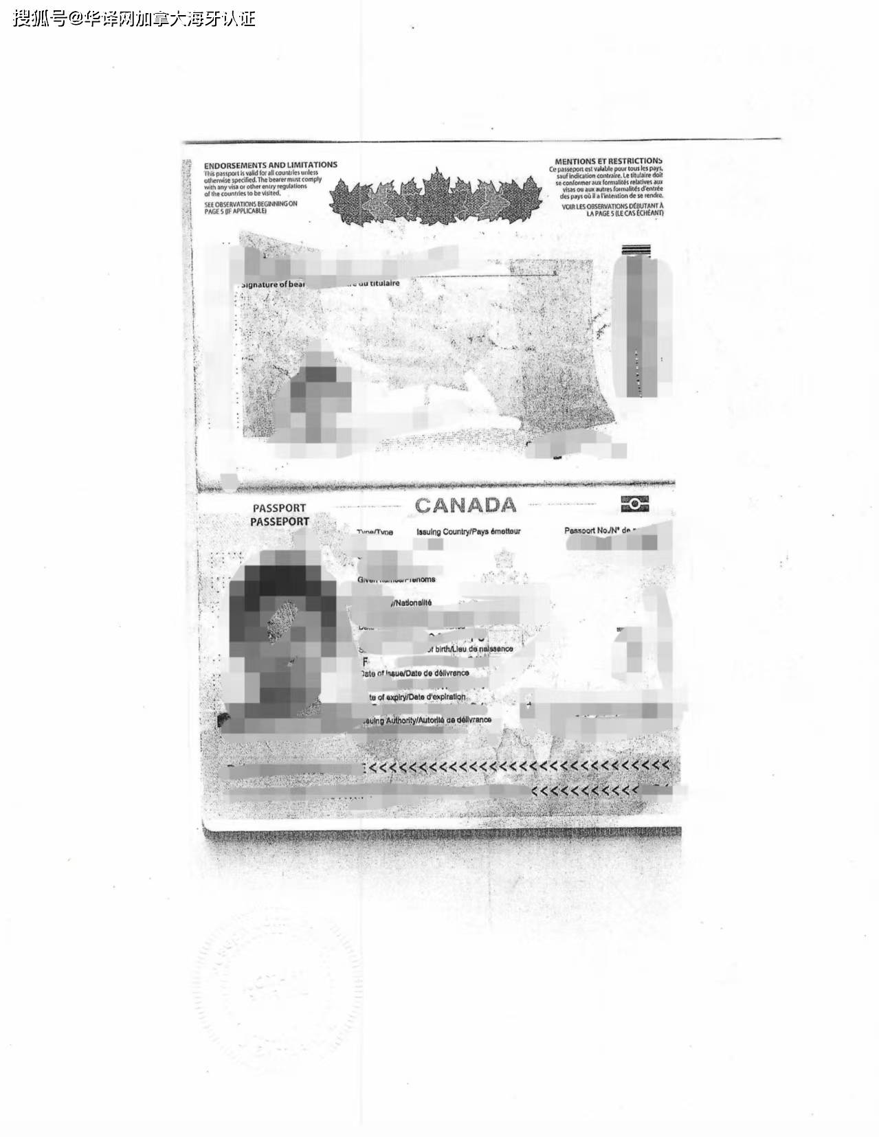 外国护照更新编号后办理同一人海牙认证公证