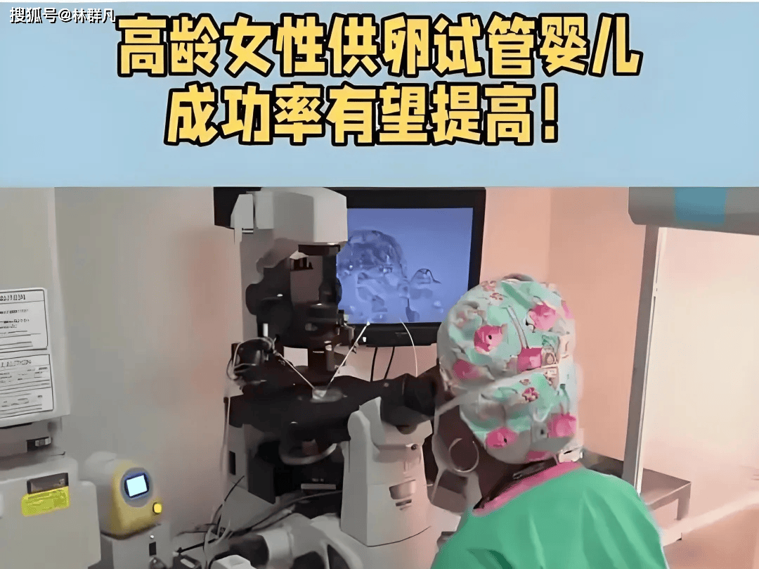 林群凡主任分享：有高龄女性问到供卵移植到自己体内，会不会出现排异呢？