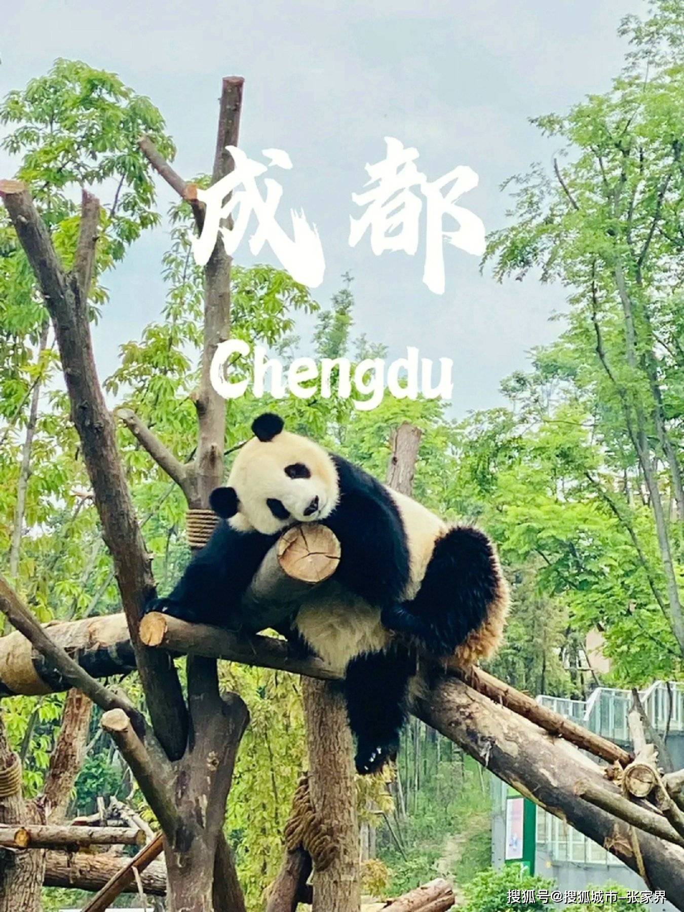 四川【OKX 哈希游戏】区块链加密游戏玩法教程，新手必看！九寨沟乐山大佛旅游攻略当地团五日游最全攻略实用！