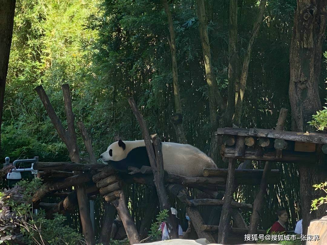 “【OKX 哈希游戏】区块链加密游戏玩法教