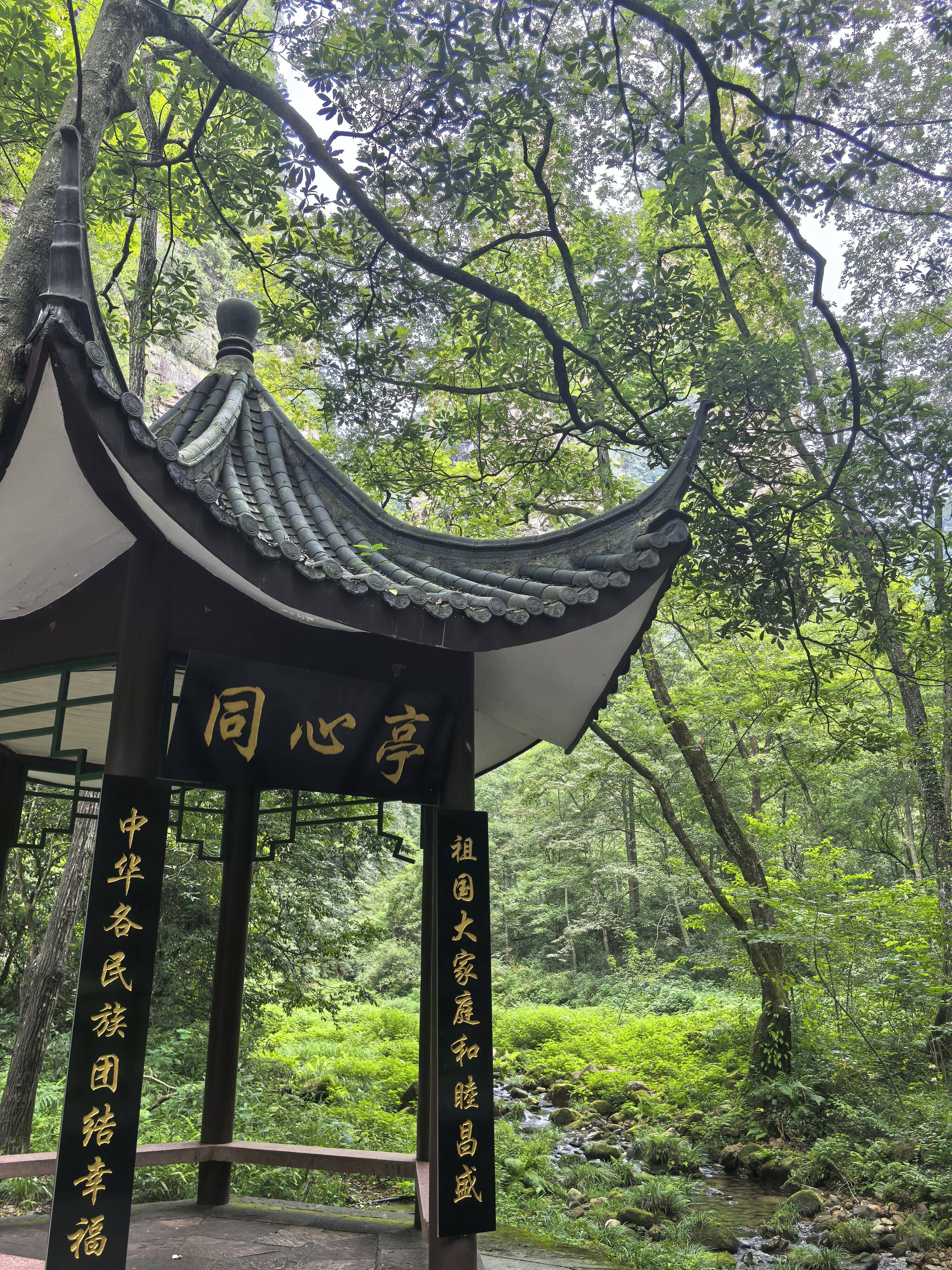 张家界5日程分享张家界旅行必看攻略详细费用大揭秘省钱又省心Binance Casino - 领先的数字货币娱乐场，安全稳定，极速存取