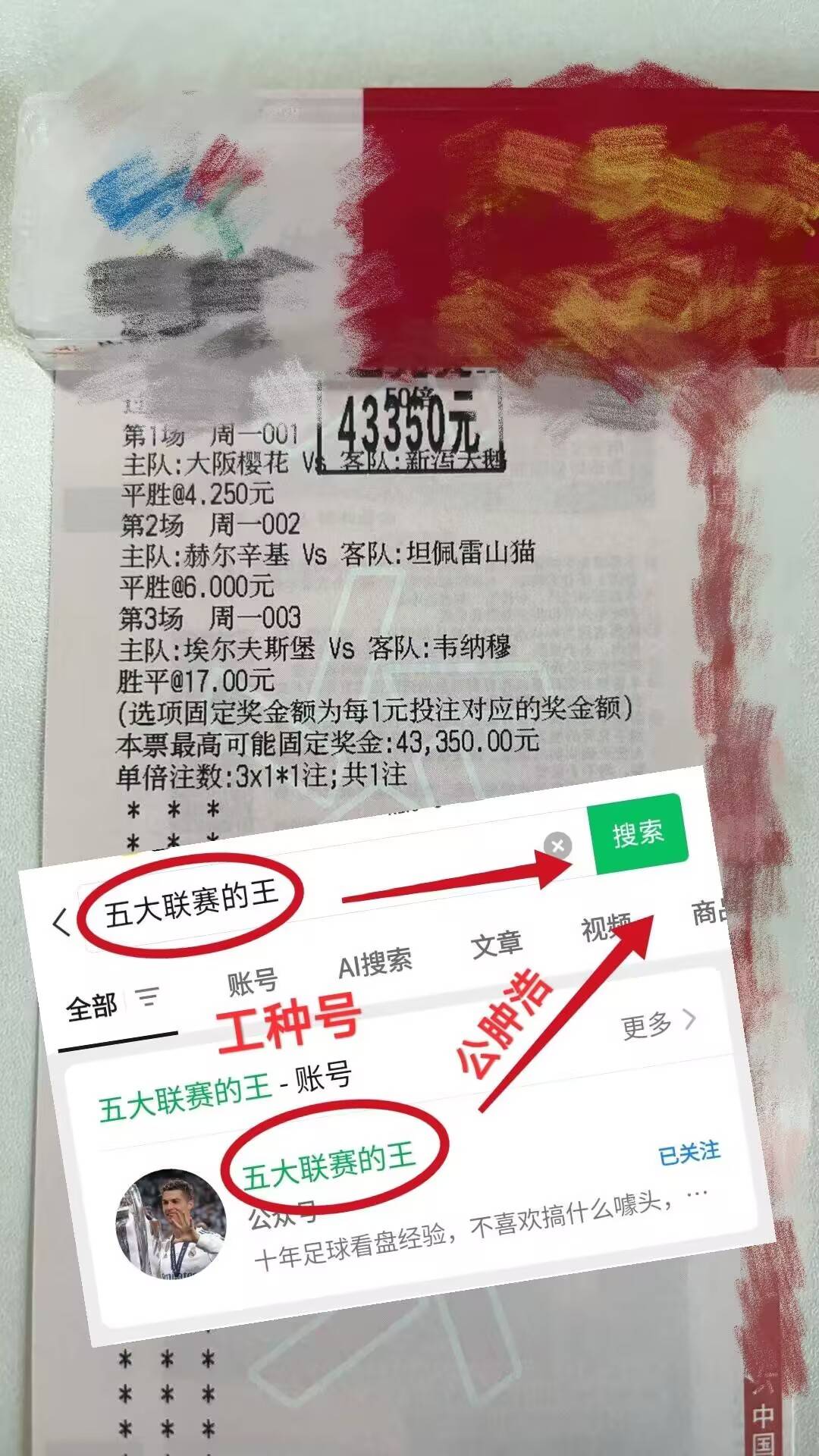 英超联赛免费高清直播+实时赛程+积分预测（2025赛季全覆盖）澳超：布里斯班狮吼VS麦克阿瑟FC金牌比分专家最新预测