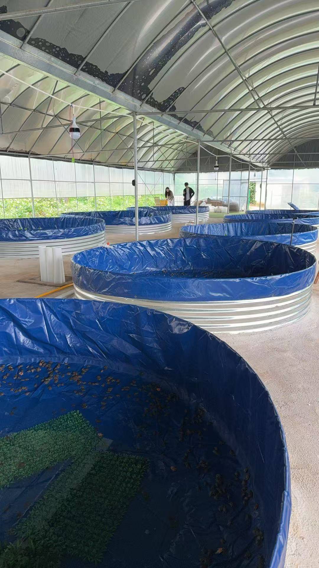 云南丰收年农业发