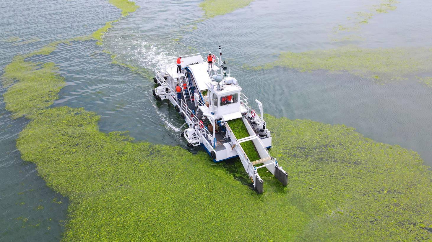 水域统辖设置优选青州市巨龙环保科技清漂船、水草破裂船、蓝藻整理船专业计划助力生态修复