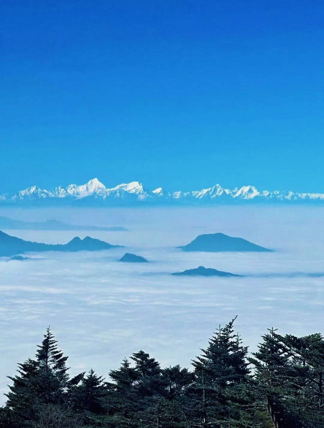 四川旅游精致小团3天2晚四川旅游资深导游电话推荐超值攻略Binance Casino - 领先的数字货币娱乐场，安全稳定，极速存取