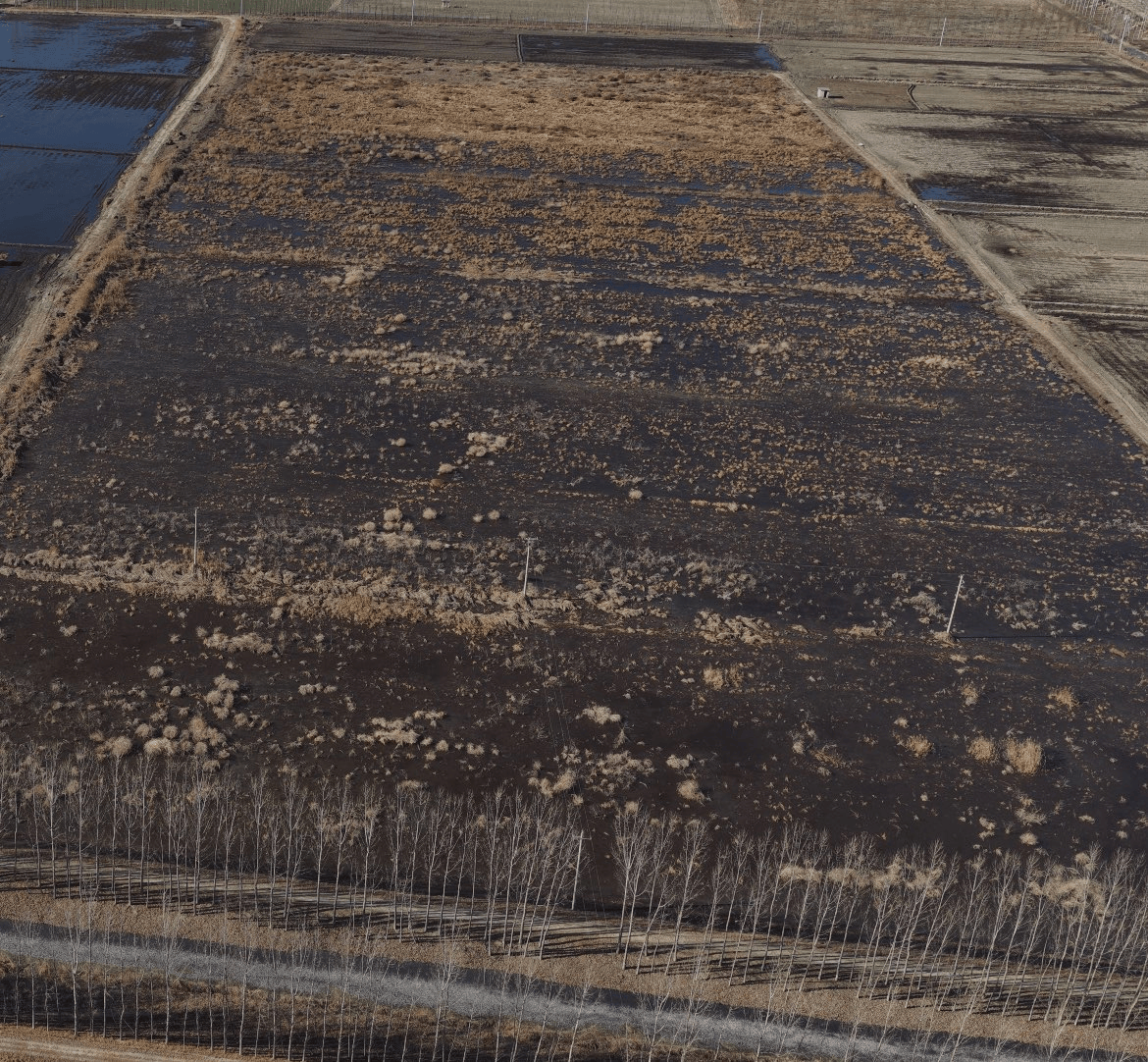 唐山市丰润区:一企业厂区北侧耕地上“存放”大量沼液 唐山市丰润区:一企业厂区北侧耕地上“存放”大量沼液