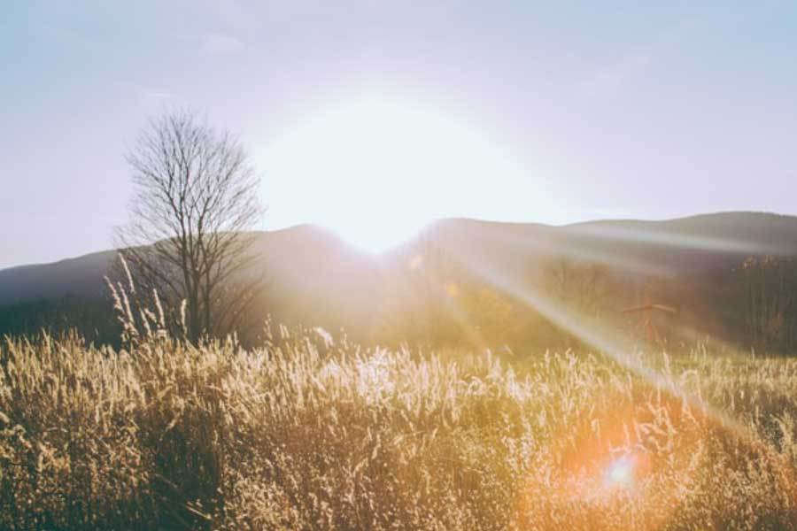 zoty中欧智能家居适老化改造惠及百万家庭