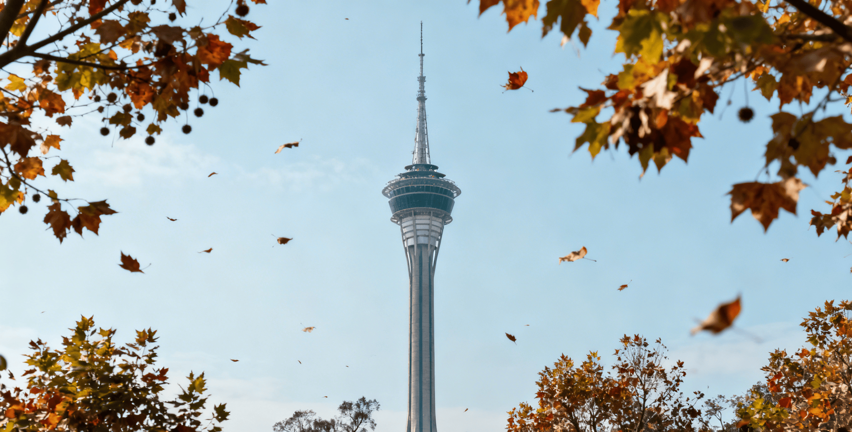 永利皇宫- 永利皇宫官网- 娱乐城APP澳门人气景点攻略必访地标清单99%游客都错过了这个