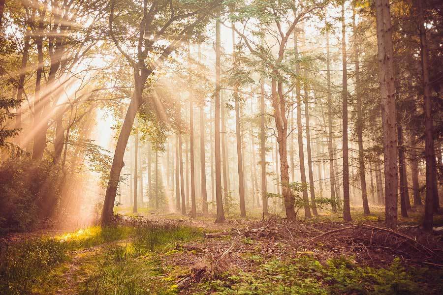 网球选手网球青少年培训营育人才