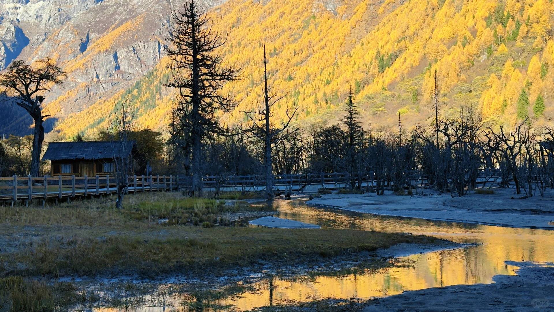 ：2026四川定制服务旅行社精选榜单开元棋牌app家庭闺蜜情侣定制游指南(图1)