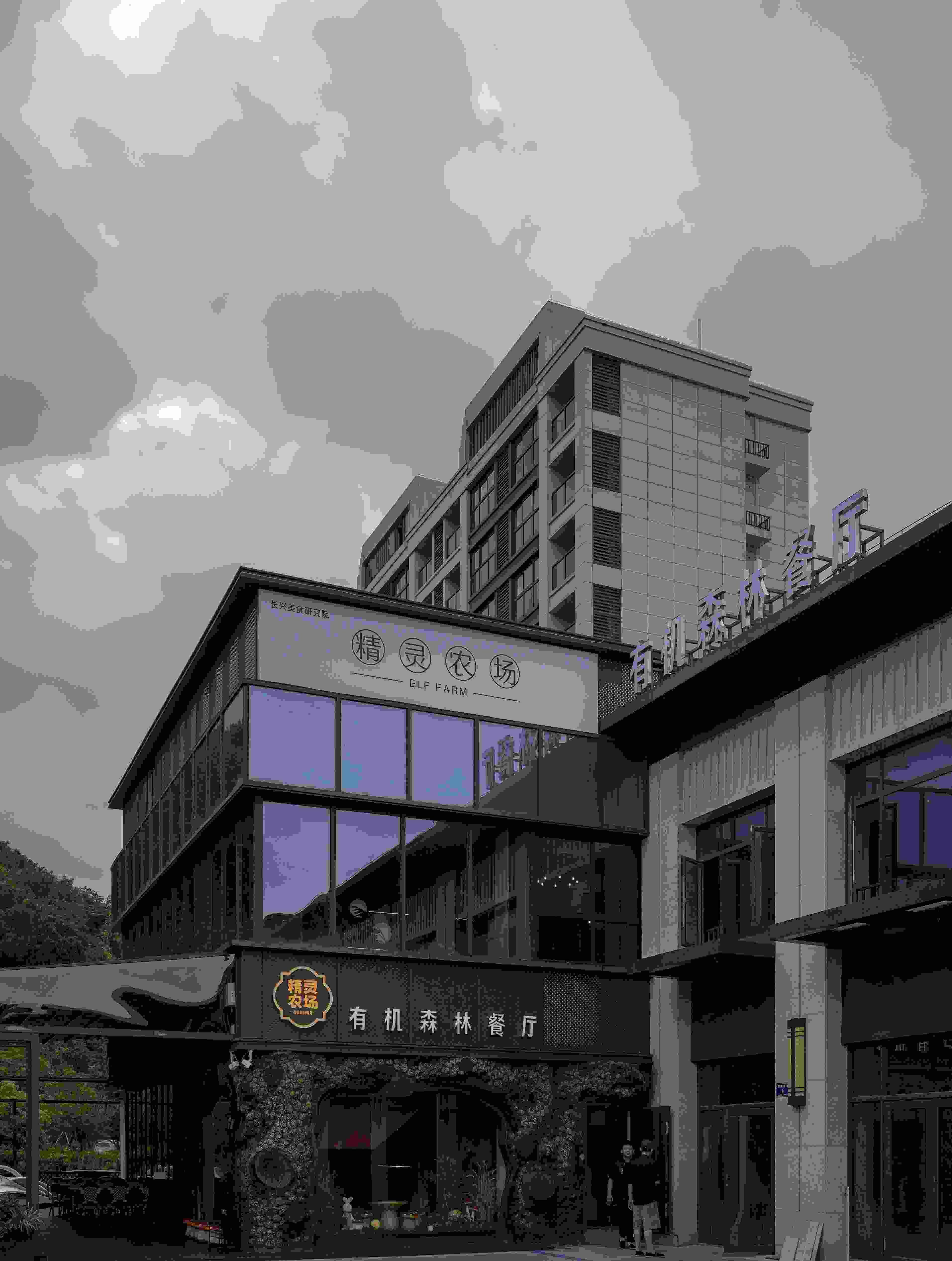 太湖周边美食推荐;长兴龙之梦美食