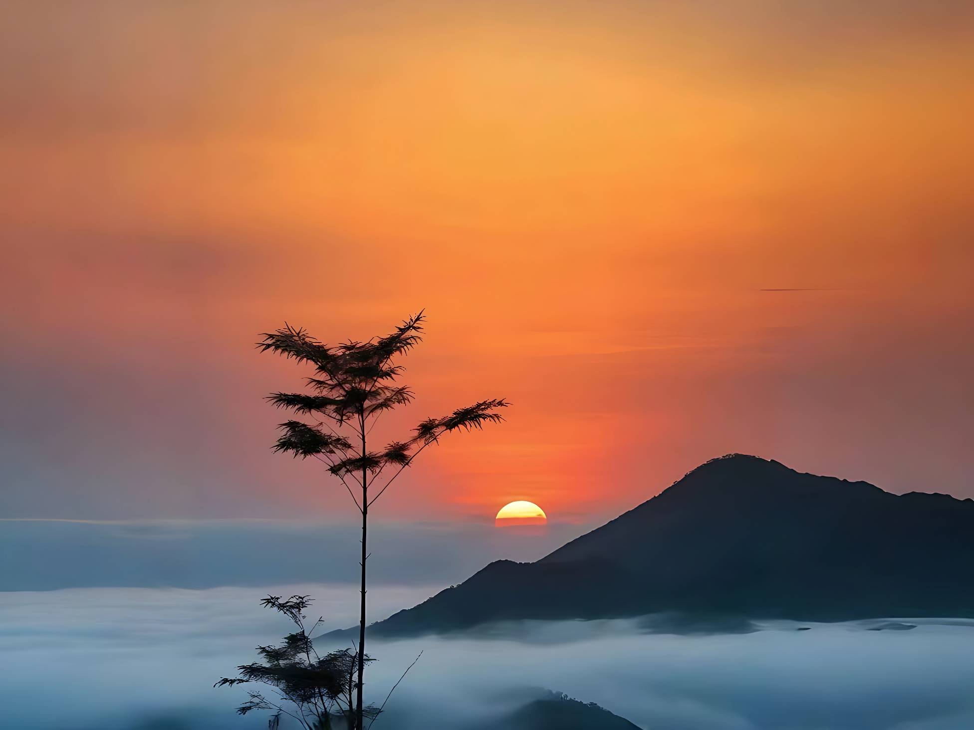 微信图片_20240930203717_修复后.jpg