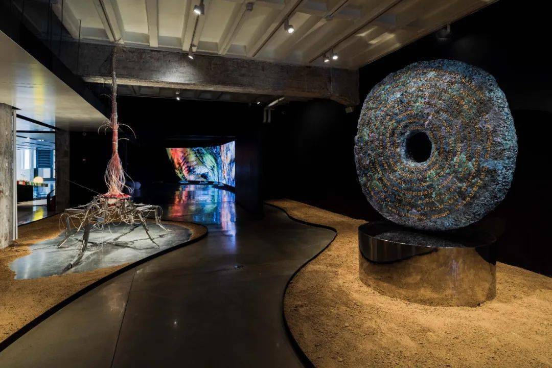 剧变的世界,如何才能“去中心化”地重塑?