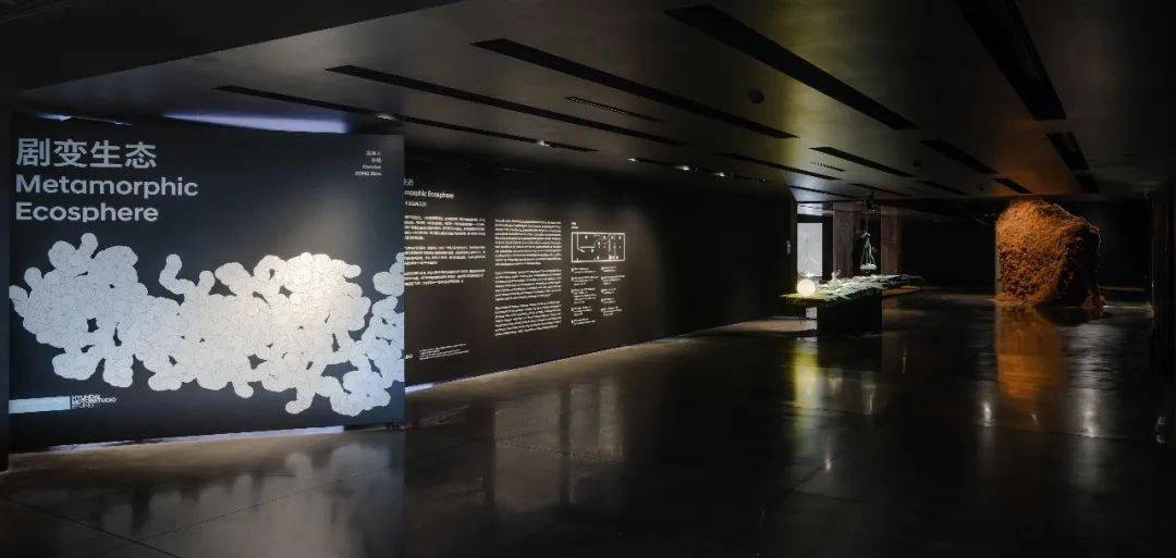 剧变的世界,如何才能“去中心化”地重塑?