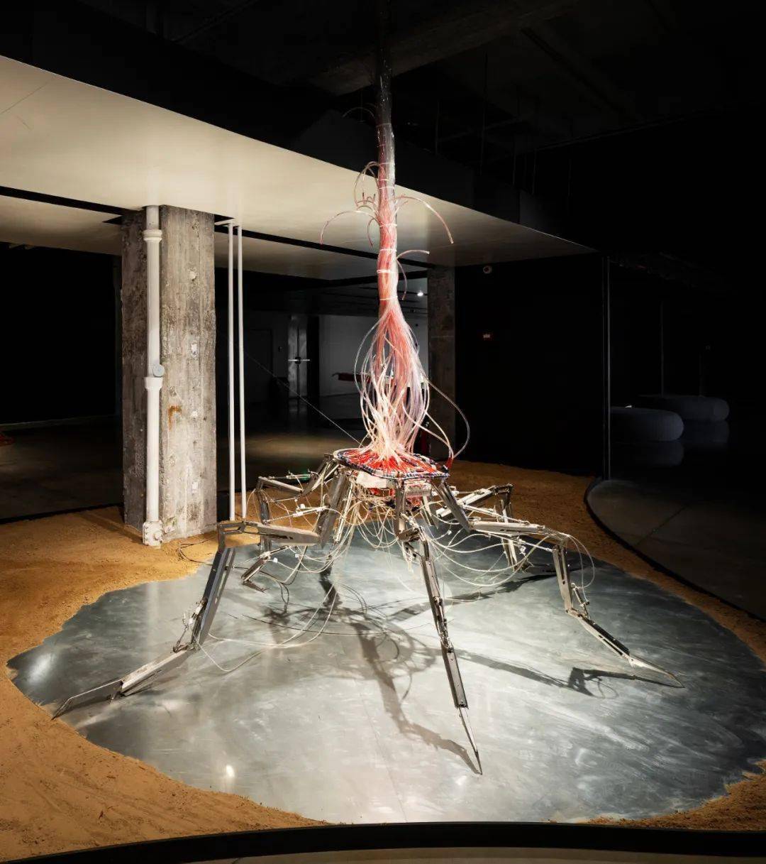 剧变的世界,如何才能“去中心化”地重塑?