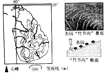 🎩【今晚必中一码一肖澳门】-阳信县洋湖乡召开公益岗位人员暨安全干部消防培训专题会议  第4张