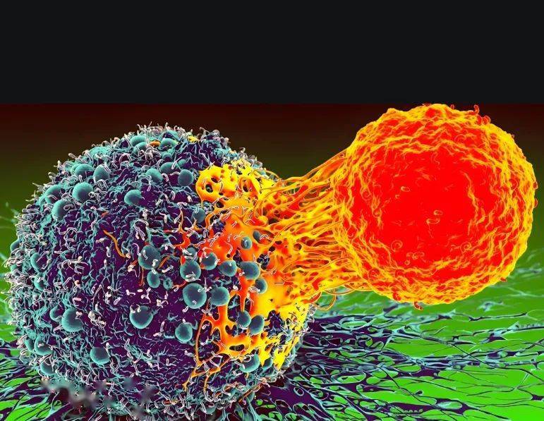 促进肿瘤显现和发展！中山大学发帖：揭示癌症治疗新靶点