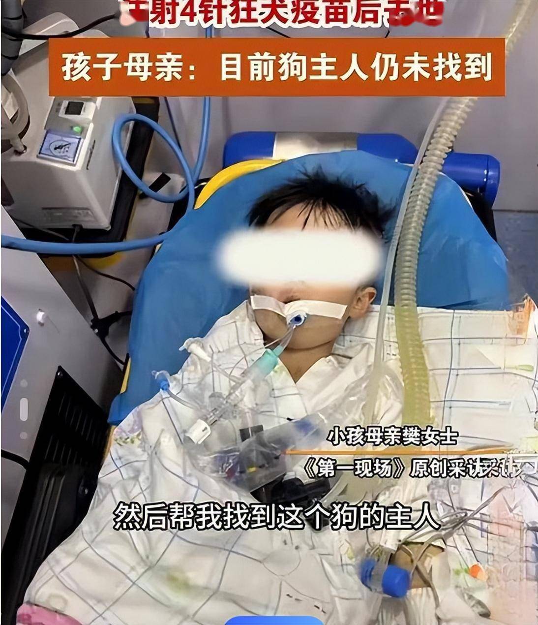 山东恶犬疯狂撕咬老人 鼻子被咬掉 眼睛已瞎，后续:狗已被诛!