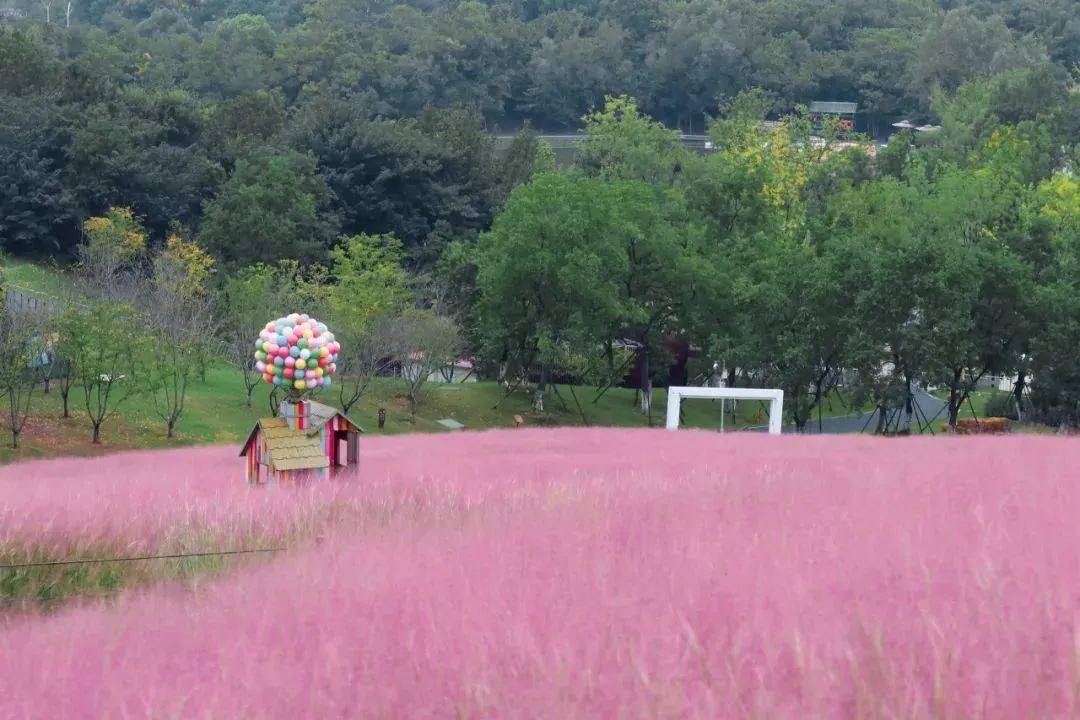 【泡天然汤山温泉】¥999起2晚洲际旗下江南风全别墅酒店高级庭院景观房含无限次公汤三卧别墅仅¥2388享厨房+私汤(图13)